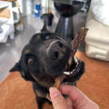 An adorable dog enjoying the Pawstruck Bully Treat Sticks