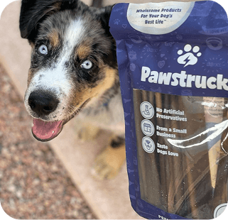 Blue-eyed Australian Shepherd dog next to purple Pawstruck dog treat package with paw print logo