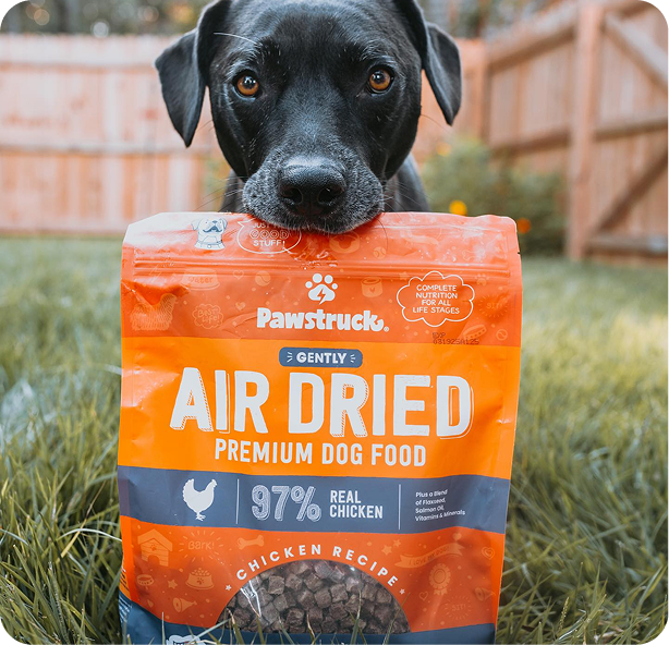Black dog holding orange Pawstruck air dried premium dog food bag in mouth while sitting on grass in backyard