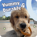 Dog on a beach holding a treat with text 'Yummy & Durable' in the sky.