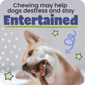Dog chewing on a treat with text about chewing helping dogs distress and stay entertained.