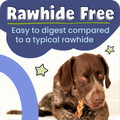 Dog holding a rawhide-free chew with text about its digestibility.
