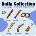 Dog chew toys labeled 'Stick', 'Braid', 'Ring', 'Spring', 'Bizarre', and 'Bites' with a 'Bully Collection' label.