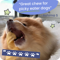 Dog chewing on a treat with text overlay about it being 'Great chew for picky eater dogs'