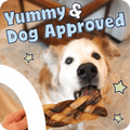 Dog holding a treat with 'Yummy & Dog Approved' text