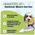 Benefits of the Pawstruck Bizarre Cow Ears