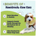 Advertisement with the benefits of cow ears and a dog with a cow ear in its mouth