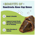 Benefits of Knee Cap Bones