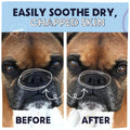 Before and after comparison of a dog's dry, chapped skin with a product application.