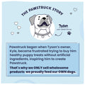 Pawstruck story with Tyson, Chief Canine Officer, on a light blue background