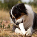 Peanut Butter Filled Dog Bones (Large)
