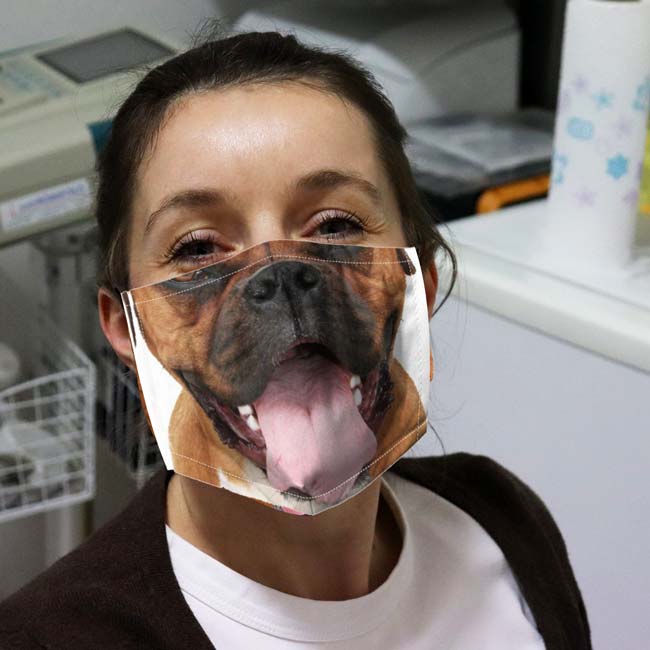 Dog Face Design Protective Mask Boxer 1 mask 