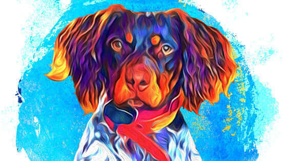 Pawstruck Pet of the Month - Sept '24