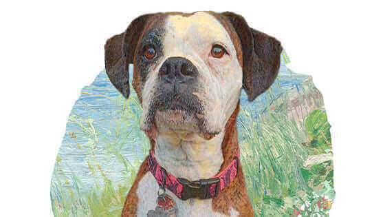 Pawstruck Pet of the Month - Aug '24