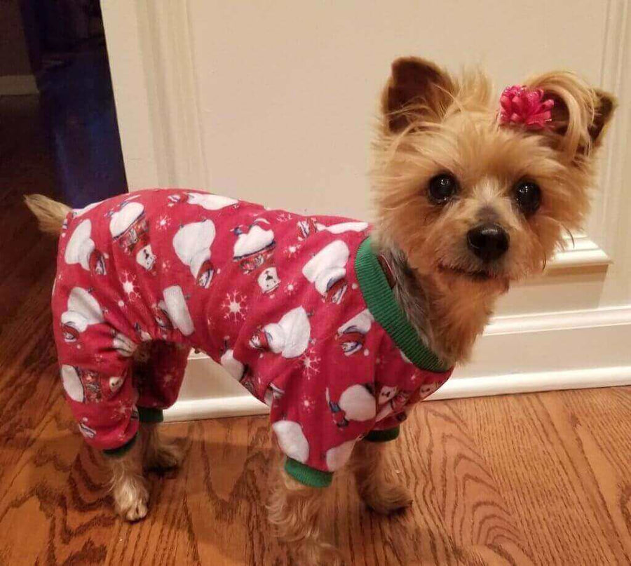 Pawstruck Pet of the Month - Nov '23