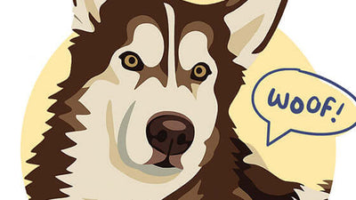 November's Pet of the Month