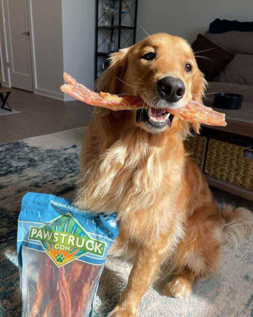 Pawstruck Pet of the Month - Aug '23