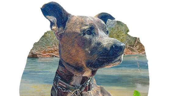 Pet of the Month - April
