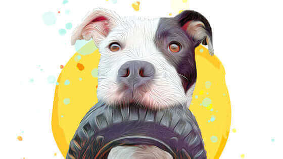 Pawstruck Pet of the Month - Oct '24