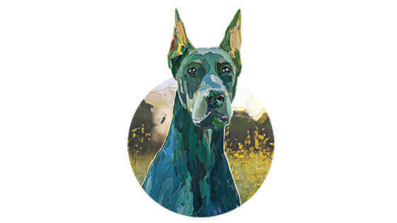Pet of the Month - November