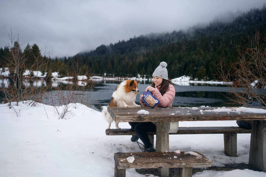 Pawstruck Doggy blog about 5 Little Known Ways To Say Thank You To Your Pet Sitters
