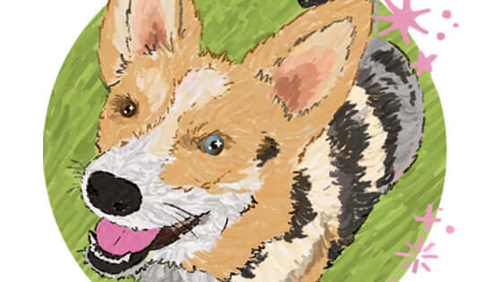 January's Pet of the Month
