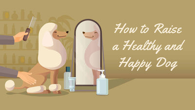 How to Raise a Dog: Experts & Dog Lovers Weigh In on How