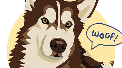 November's Pet of the Month