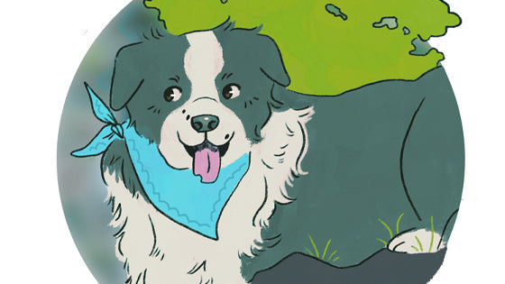 February's Pet of the Month