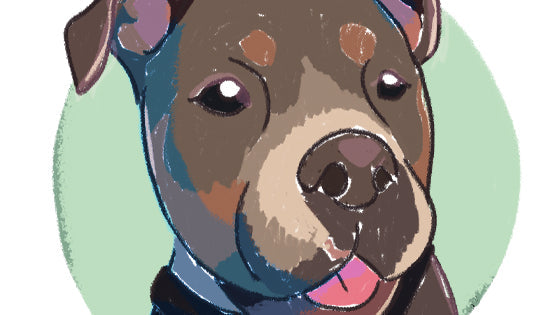 Pet of the Month - March