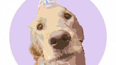 Pawstruck Portrait of Gracie the golden retriever