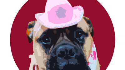 Cherry Bomb Pet of the Month Portrait