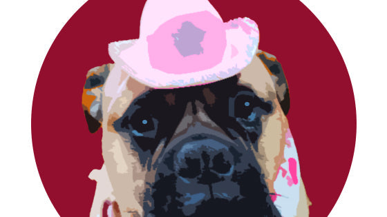 Cherry Bomb Pet of the Month Portrait