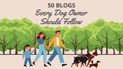 Dog Blogs: 50 Blogs Every Dog Owner Should Follow