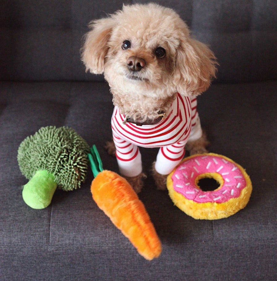 Pawstruck Doggy blog about Are Carrots Good for Dogs? Health Benefits of Feeding Raw & Cooked Carrots