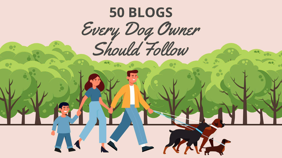 Pawstruck Doggy blog about 50 Dog Blogs Every Dog Owner Should Follow