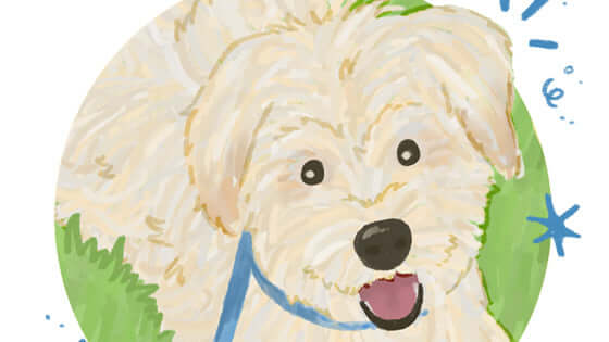 December's Pet of the Month