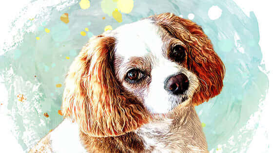 Pawstruck Pet of the Month - Apr '24