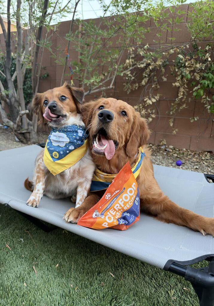 Can Dogs Eat Fish? A Guide to Safe Fish, Benefits, and What to Avoid