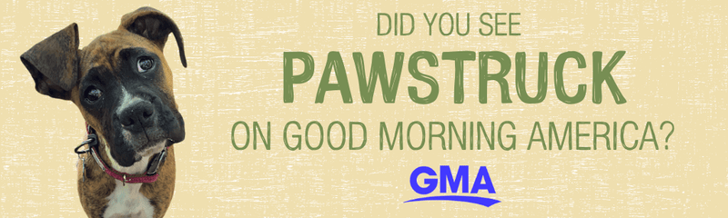 As Seen on Good Morning America
