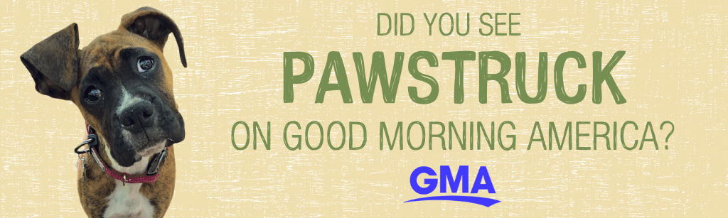 As Seen on Good Morning America