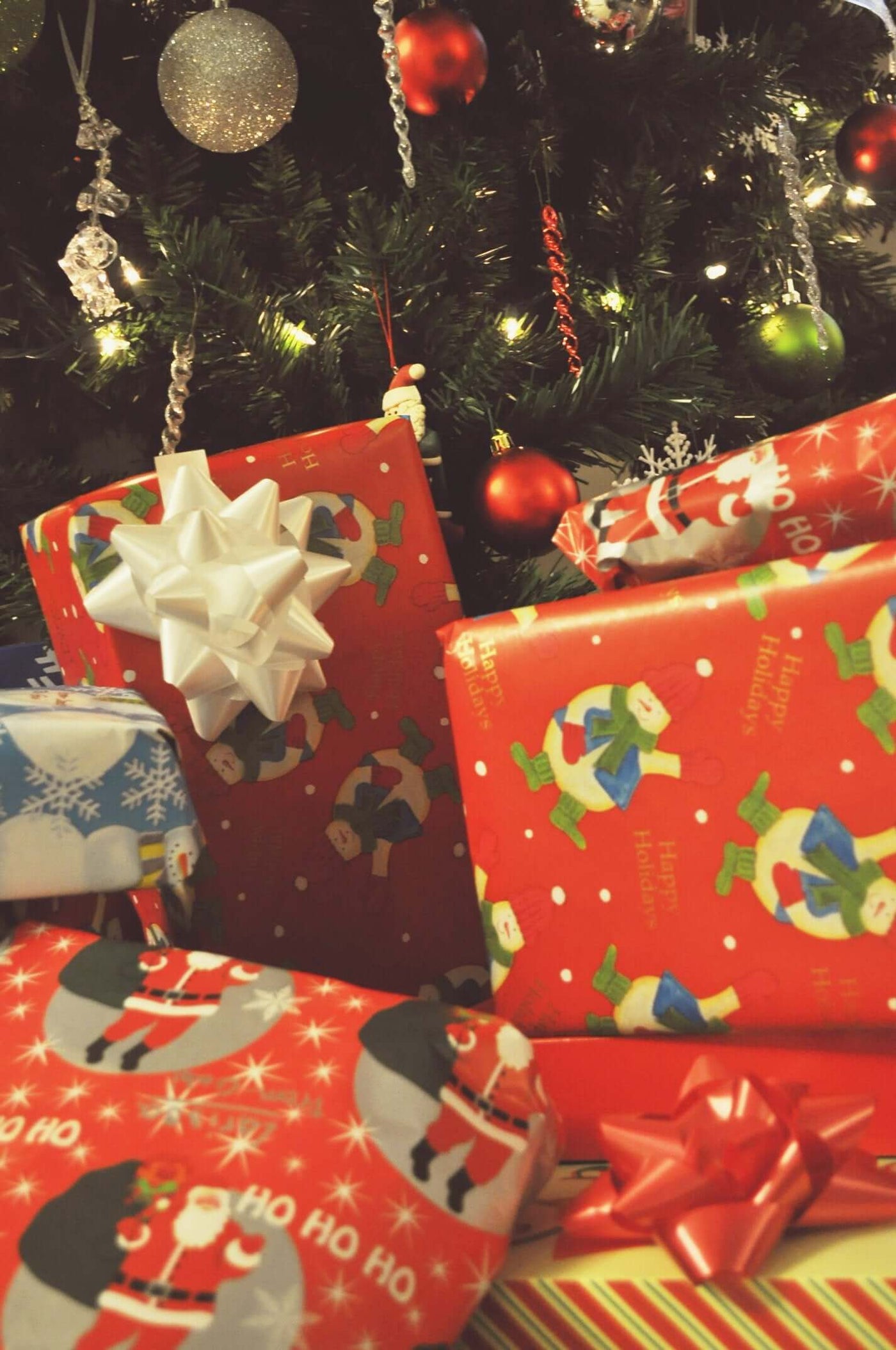 Holiday Gifts for Dogs