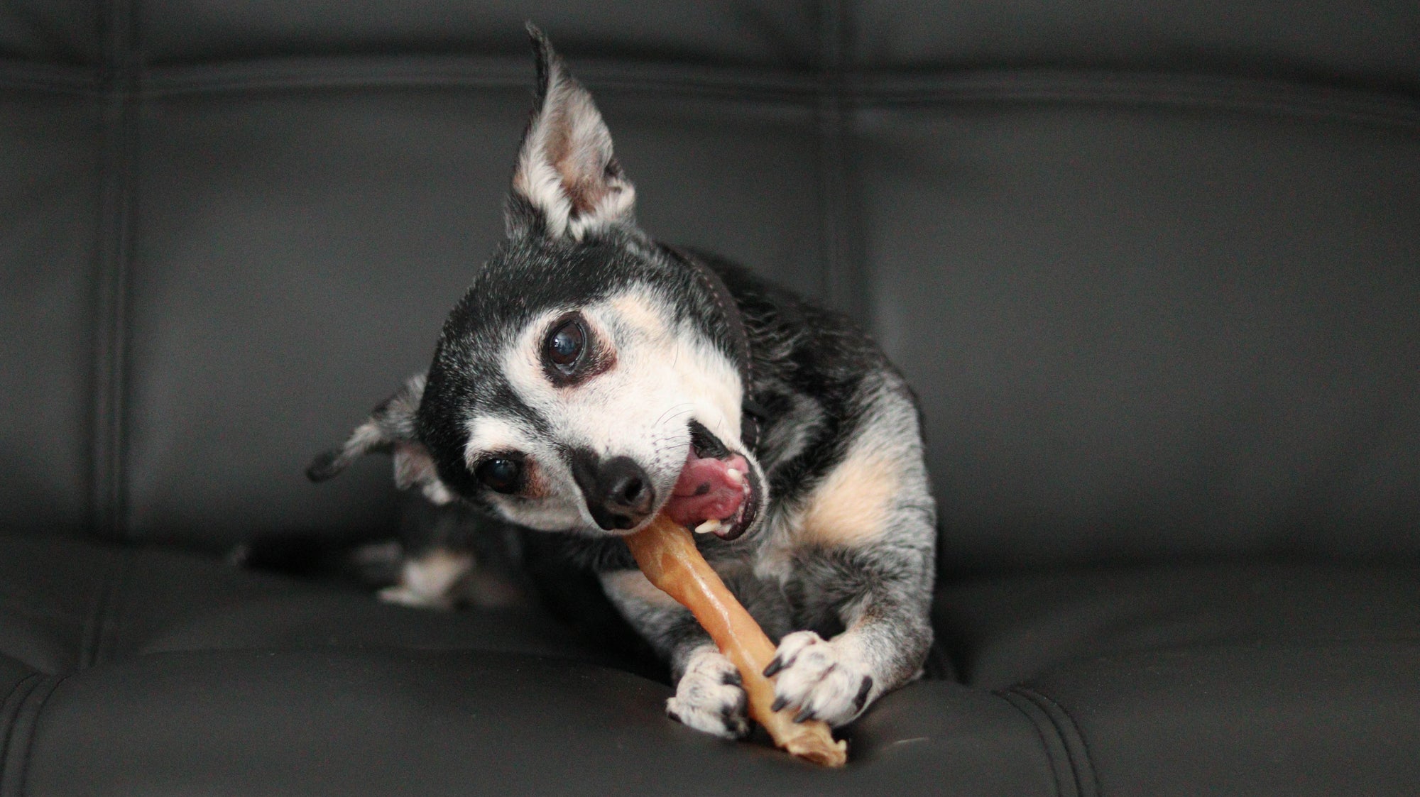 Beef Dog Chews and Treats