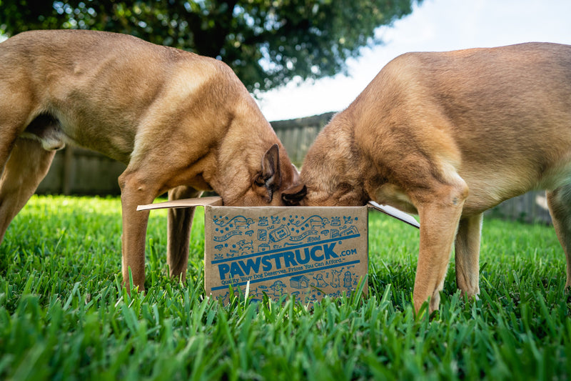 Pawstruck
