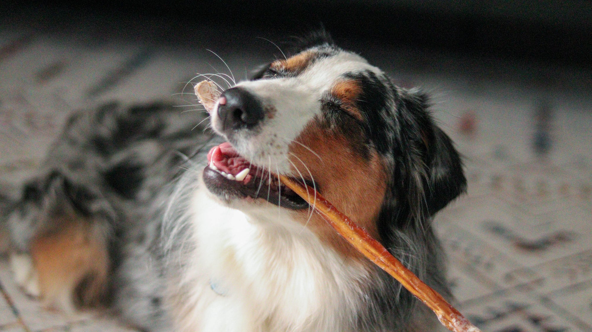 By-Weight Bully Sticks