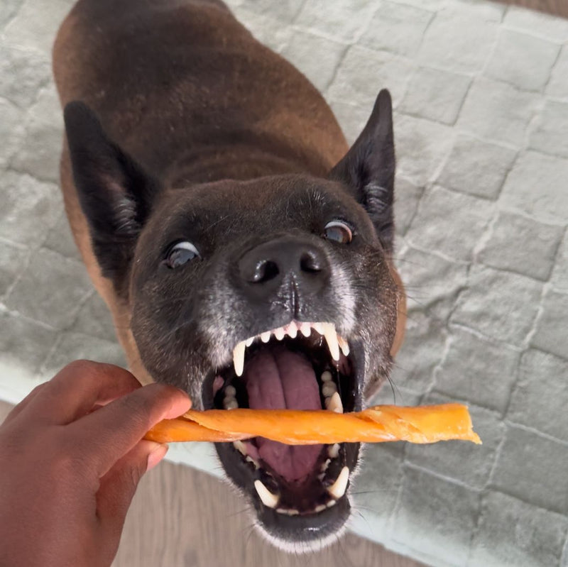 Aggressive Chewers