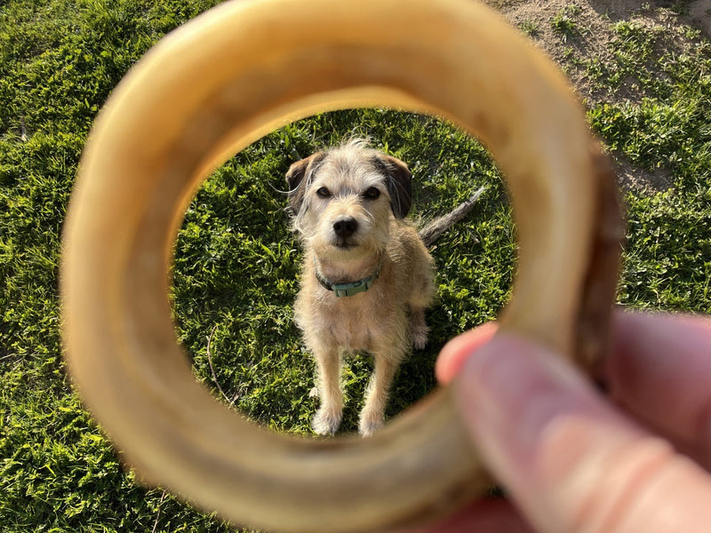 Shaped Bully Sticks