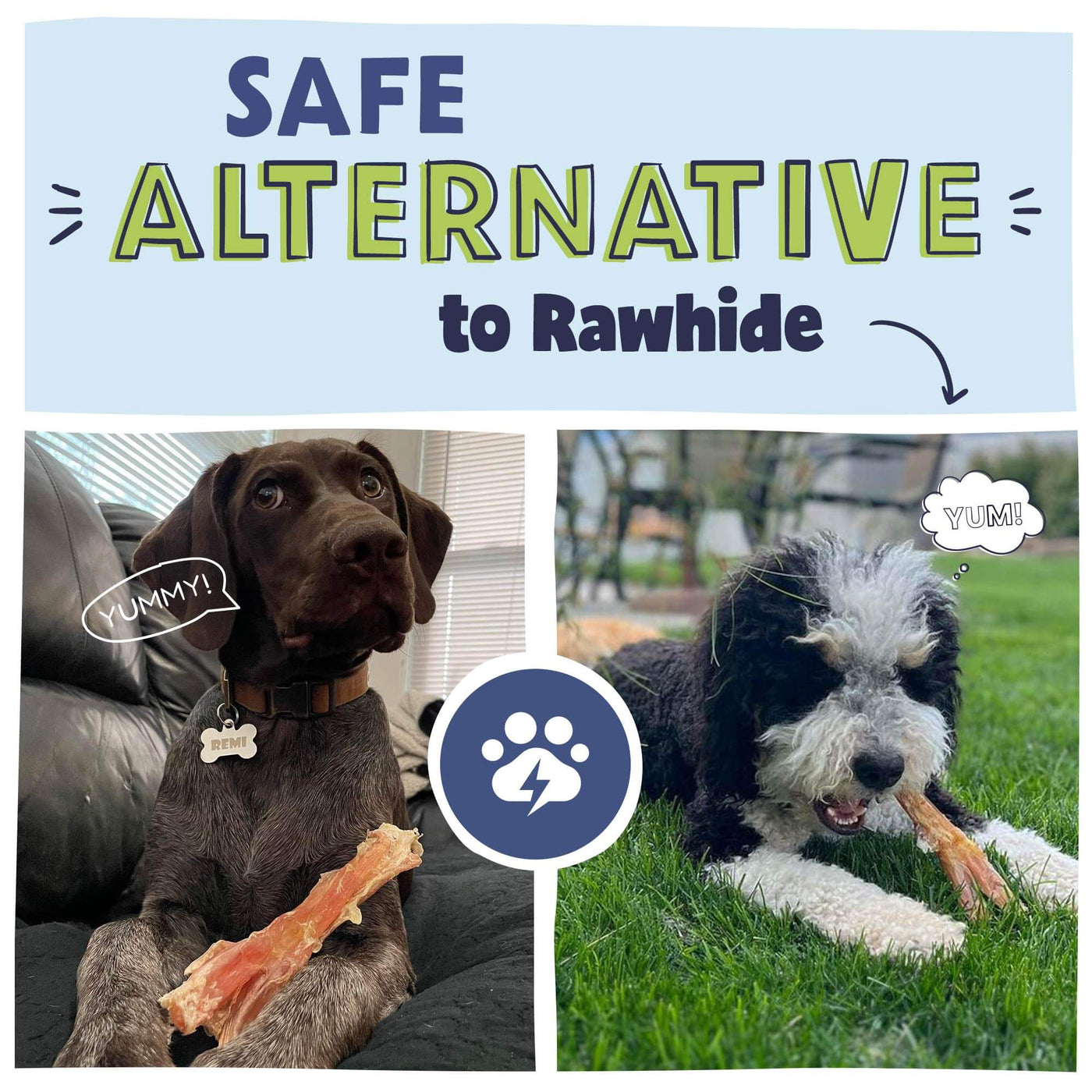 A Safe Alternative to Rawhide