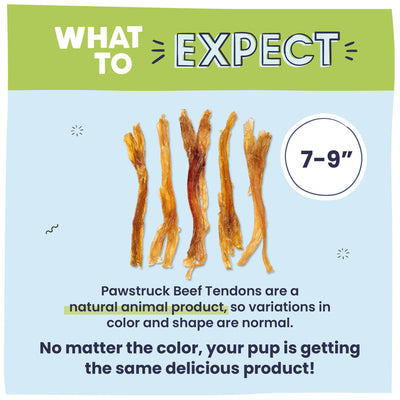 Beef Tendons for Dogs