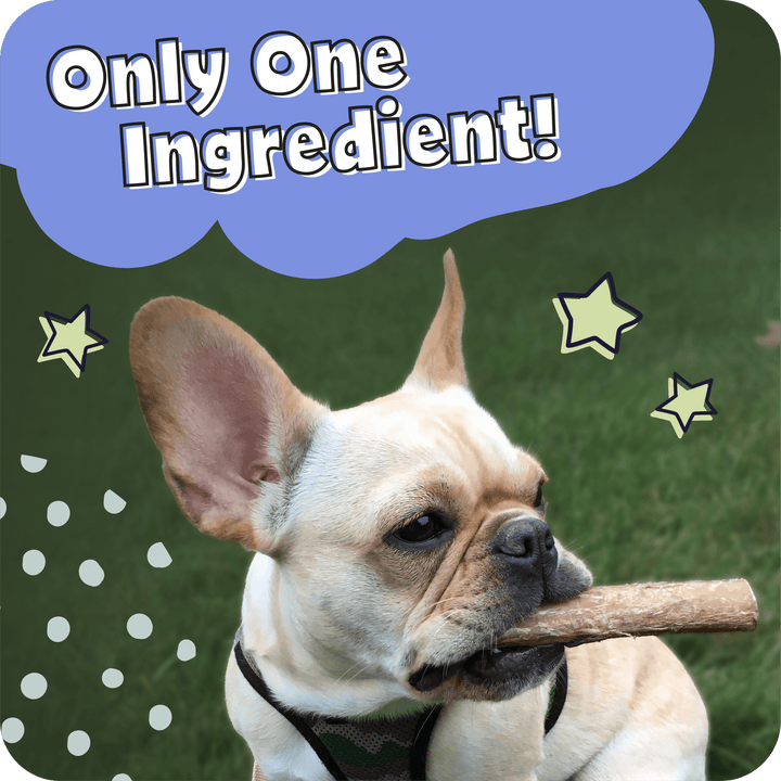 Dog holding a Pawstruck Bully Stick with text in a cloud shaped bubble which reads, &